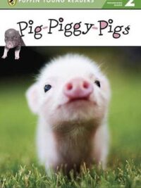 Pig-Piggy-Pigs