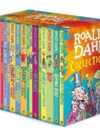 Roald Dahl Collection: 16 Story Collection