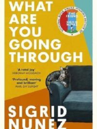 What Are You Going Through : 'A total joy - and laugh-out-loud funny' DEBORAH MOGGACH