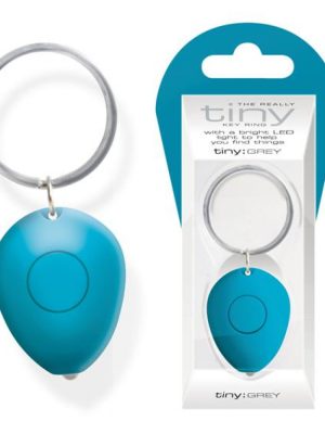 Really Tiny KEYRING - Blue