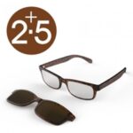 SUN READERS - Tortoiseshell +2.5