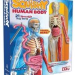 Squishy Human Body