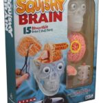 The Amazing Squishy Brain