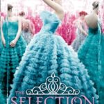 The Selection 1: The Selection