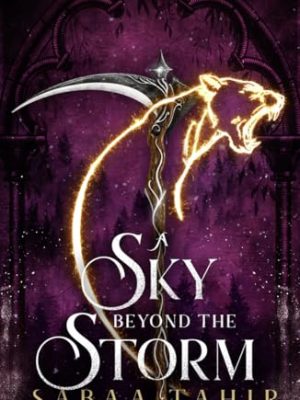 A Sky Beyond the Storm