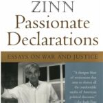 Passionate Declarations : Essays on War and Justice