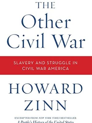 The Other Civil War : Slavery and Struggle in Civil War America