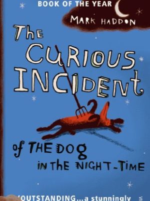 The Curious Incident of the Dog in the Night-time