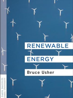 Renewable Energy : A Primer for the Twenty-First Century