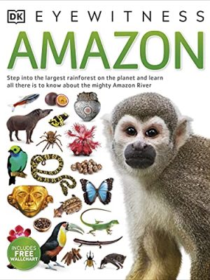 Eyewitness: Amazon