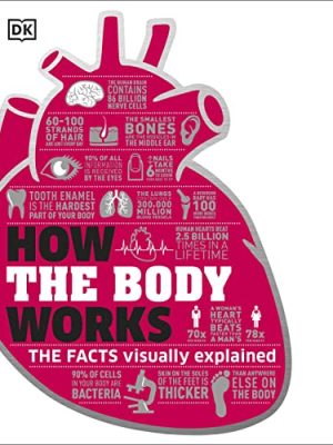 How the Body Works: Big Stuff Simply Explained