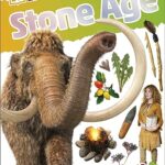 DKfindout! : Stone Age