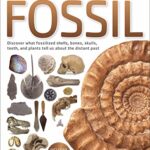 Eyewitness: Fossil