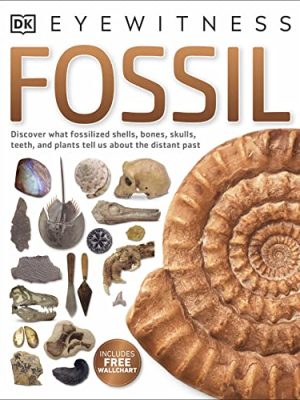 Eyewitness: Fossil
