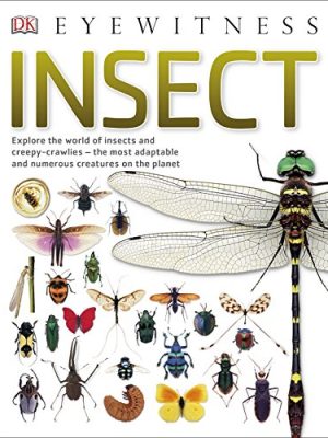 Eyewitness: Insect