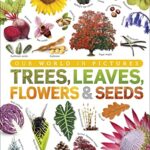 Trees, Leaves, Flowers & Seeds: A visual encyclopedia of the plant kingdom
