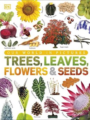 Trees, Leaves, Flowers & Seeds: A visual encyclopedia of the plant kingdom
