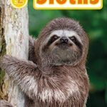 DK Readers Level: Sloths