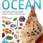 Eyewitness: Eyewitness Ocean