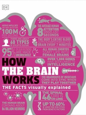 How the Brain Works: The Facts Visually Explained