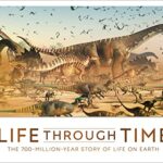 Life Through Time: The 700-Million-Year Story of Life on Earth