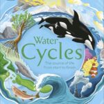Water Cycles