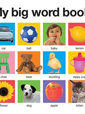 My Big Word Book (Casebound)