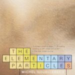 The Elementary Particles
