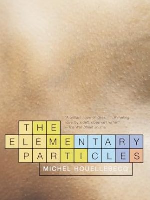 The Elementary Particles