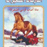 ماذا أصاب فرسي الصغيرة؟