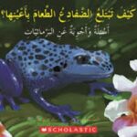 كيف تبتلع الضفادع الطعام بأعينها؟