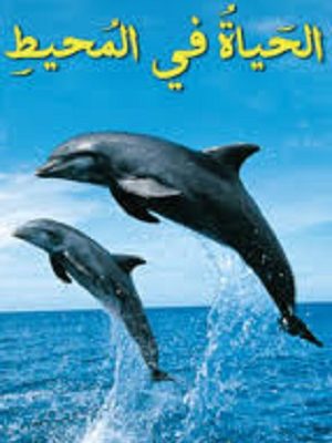 الحياة في المحيط