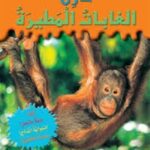 خارق: الغابات المطيرة