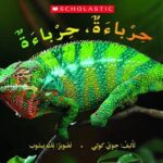 حرباءة، حرباءة