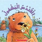 القندس المشغول