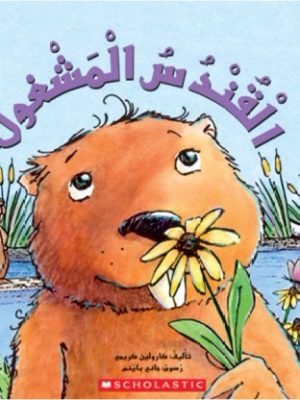 القندس المشغول