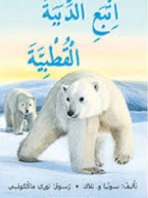 اِتبع الدّببة القطبية