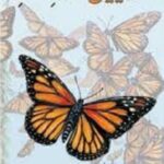 ملايين الملكات