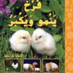 فرخ ينمو ويكبر