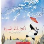 تأملات الباندا القصيرة