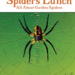 Puffin Young Readers 2: Exp Spiders Lunch