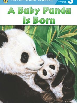 Puffin Young Readers 3: A Baby Panda is Born