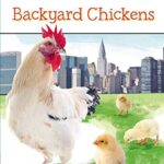 Puffin Young Readers 3: Backyard Chickens
