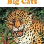 Puffin Young Readers 3: Big Cats