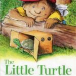 The Little Turtle