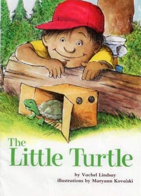 The Little Turtle