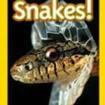 National Geographic Kids: Snakes! (Level 2)