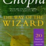 The Way Of The Wizard: 20 Lessons for Living a Magical Life