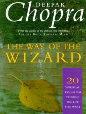 The Way Of The Wizard: 20 Lessons for Living a Magical Life