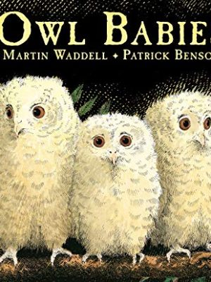 Owl Babies